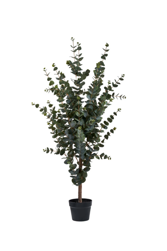 Förhandsboka Eukalyptus Konstgjord Växt
