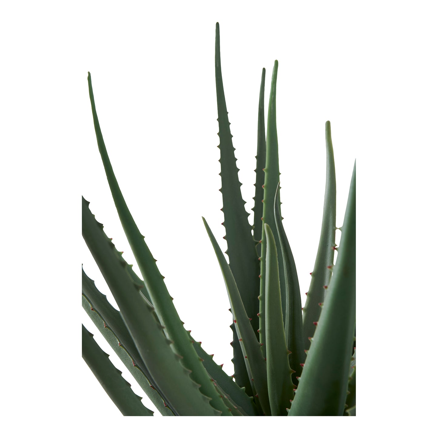 Aloe Vera Konstgjord Växt
