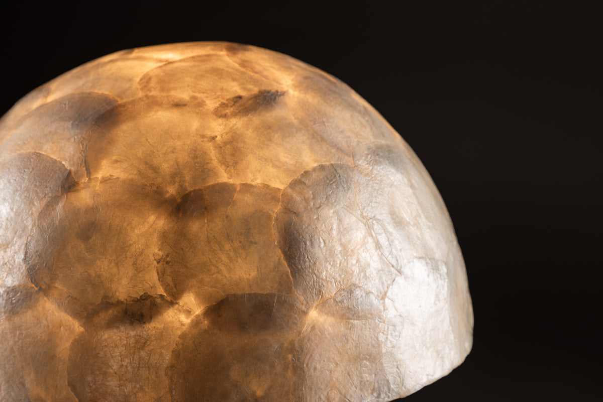 Lindön Tafellampen Lichtgrijs