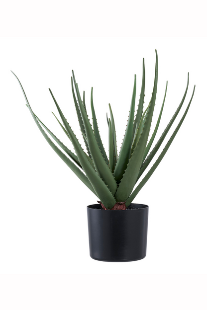 Aloe Vera Konstgjord Växt
