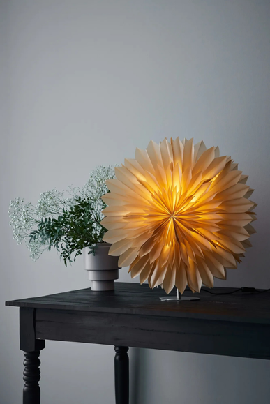 Solina Bordsstjärna Nougat 60 cm