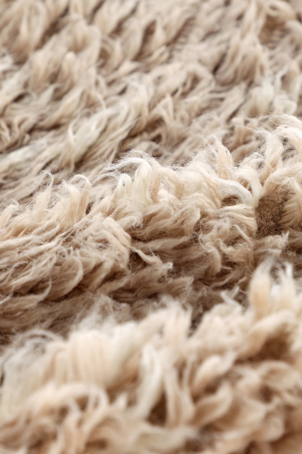 Leiko Rektangulär Matta 230 x 160 Beige