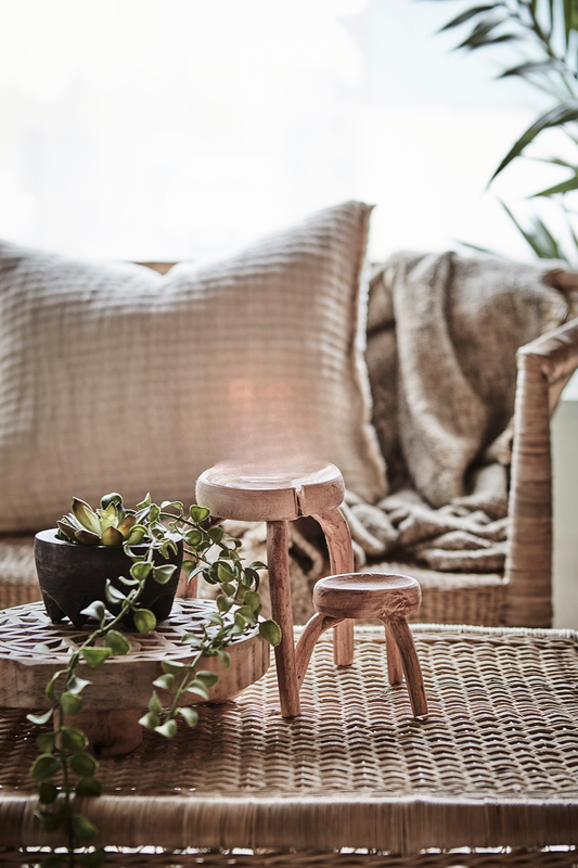 Tribe Soffbord - Natur M - 100x43x50