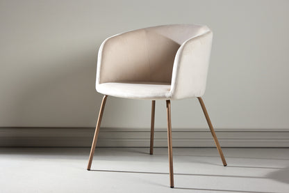 Vorlage Venture Design