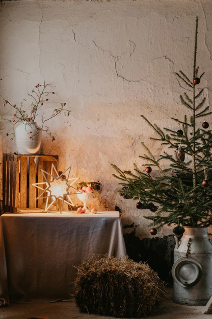 Julstjärna Karin 45 - Natur