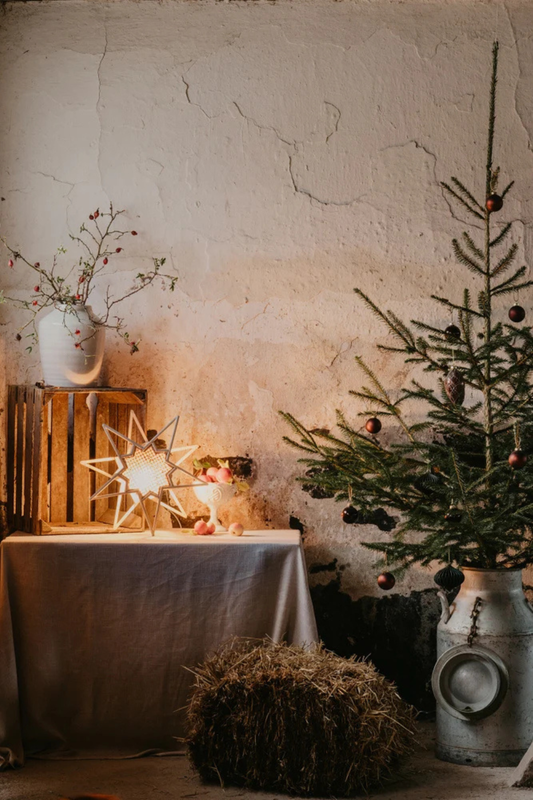Julstjärna Karin 45 - Natur