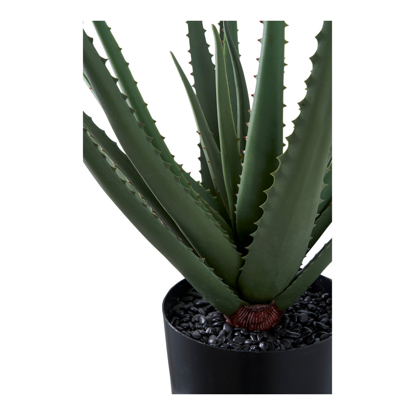 Aloe Vera Konstgjord Växt – Japandi Collection