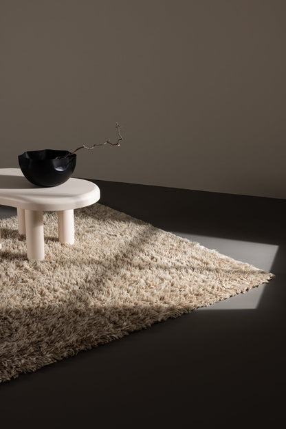 Leiko Rektangulär Matta 230 x 160 Beige