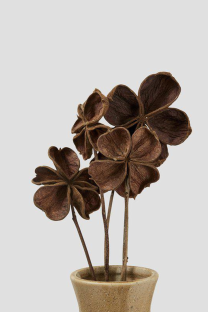 Förhandsboka Flore Land lotus  Dekoration 5-pack