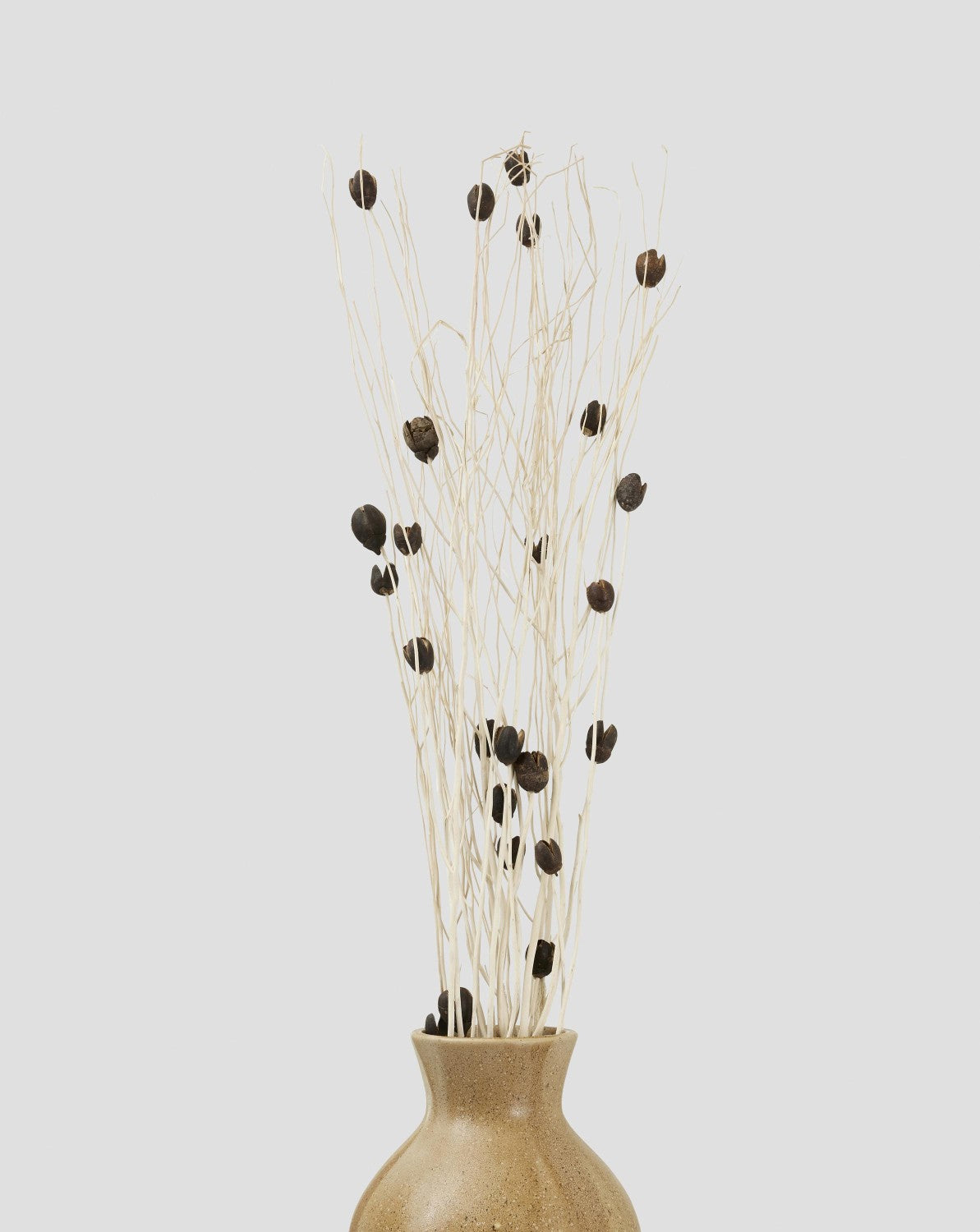 Flore Bakuli  Dekoration 5-pack