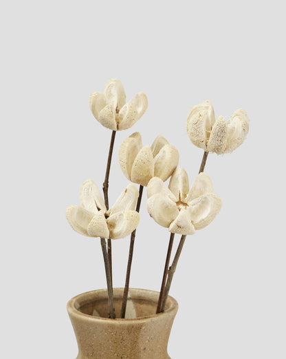 Flore Wild orange  Dekoration 5-pack