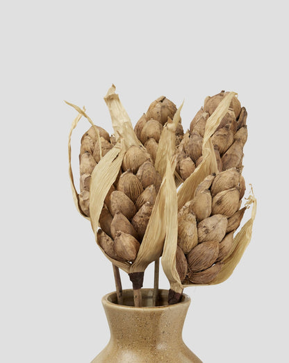 Flore Cone  Dekoration 5-pack