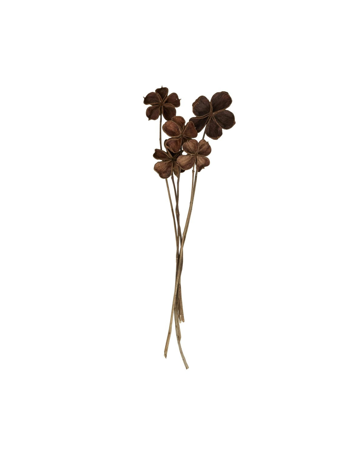 Flore Land lotus  Dekoration 5-pack
