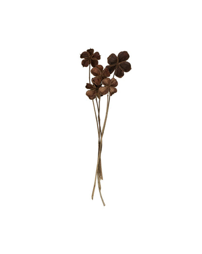 Flore Land lotus  Dekoration 5-pack